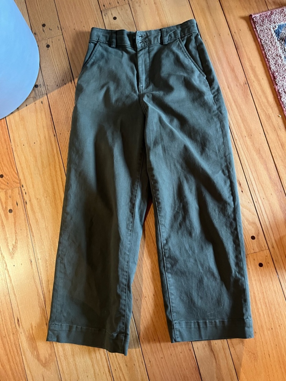 Everlane Olive Chino Pants
